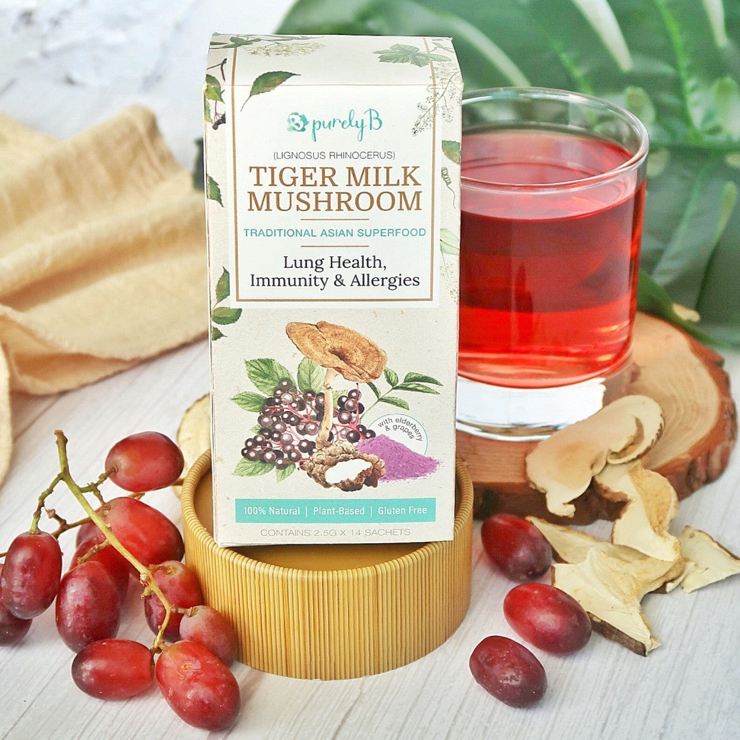 PurelyB Tiger Milk Mushroom Starter