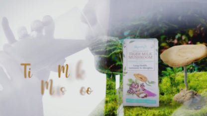 PurelyB Tiger Milk Mushroom Starter